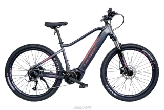 LECTRON Montana PX rosa